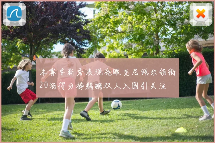 本赛季新秀表现亮眼克尼佩尔领衔20场得分榜鹈鹕双人入围引关注
