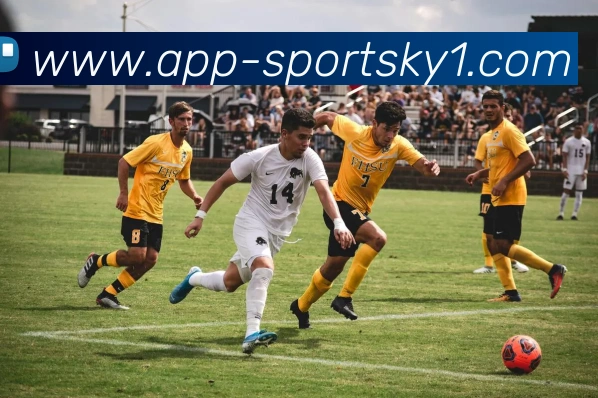 App Interface Preview