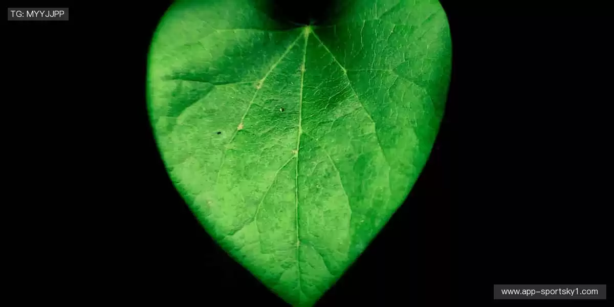 🎁限量发售，手慢无！💪品质保证，球迷必备神器！